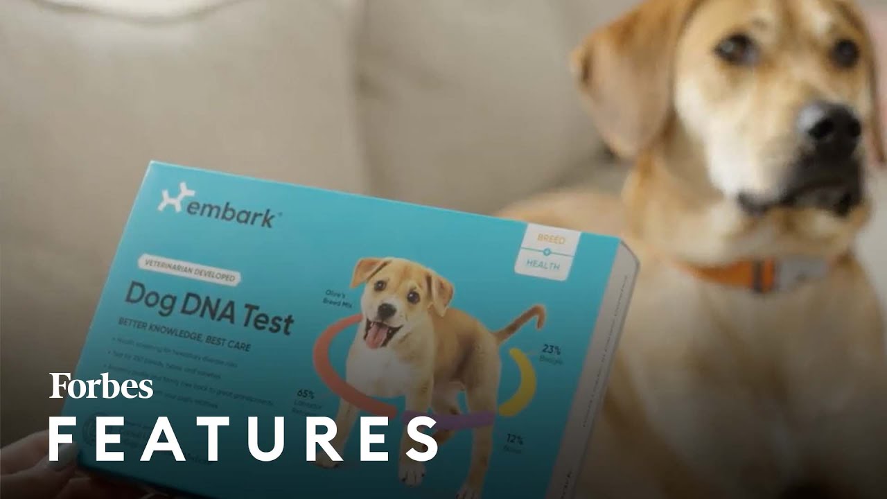 This Next Billion Dollar DNA Company Will Test Your Dog For A Healthier Life | Forbes