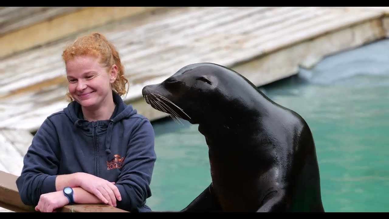 Une journée au Zoo de La Flèche