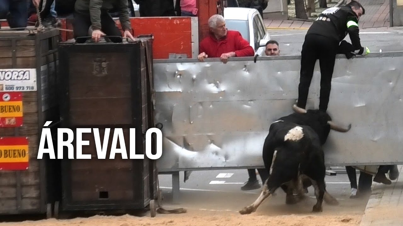 &Aacute;revalo 2026 Dos Toros de Caj&oacute;n