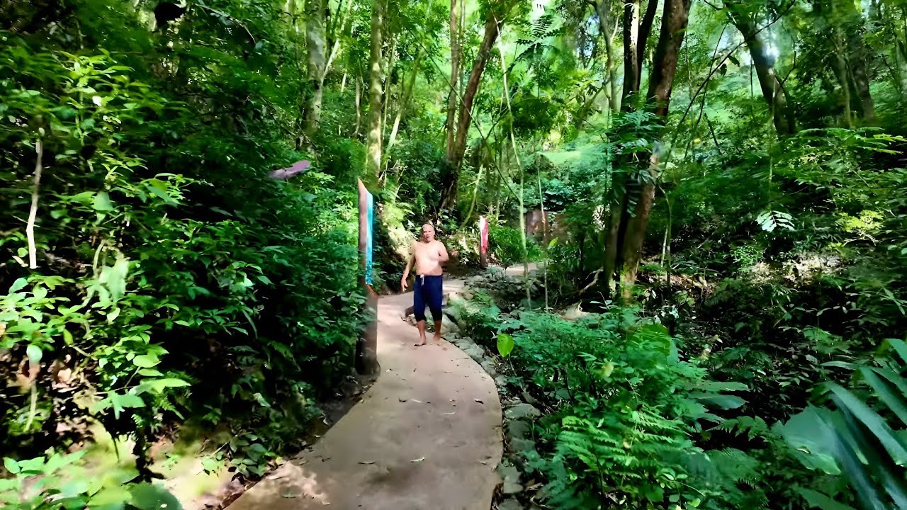 Encontro Inesperado com Índio Guarani no Bosque  Gutierrez | Curitiba, Brazil 🇧🇷 | Walking Tour | 4K