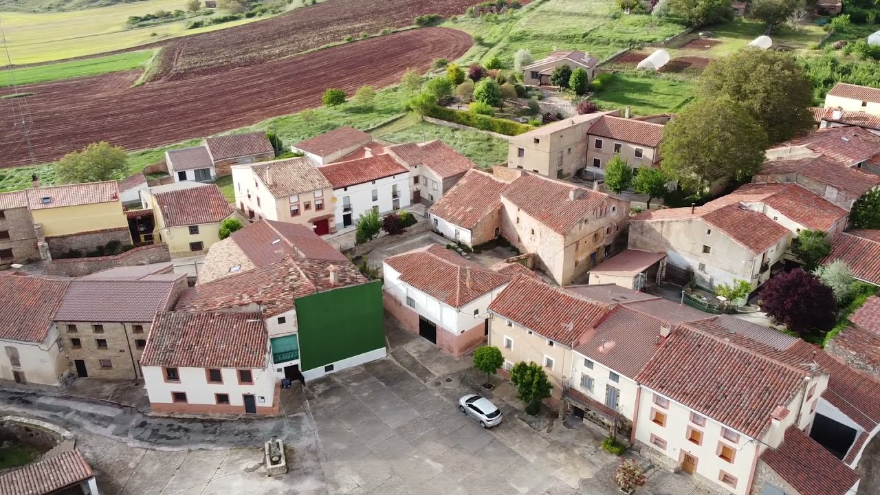 Benamira. 2021