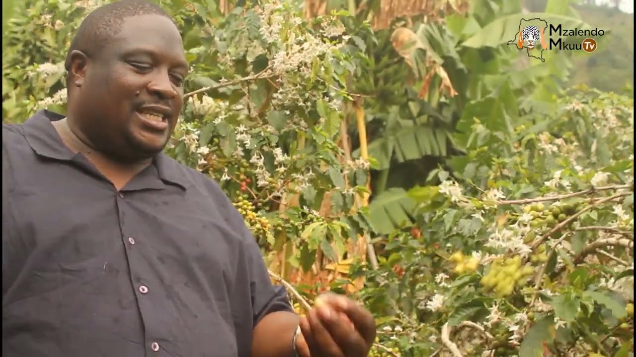 Ce jour-là, l’équipe s’est rendue à Mughola, village natal du MinEtat en charge de l’Agriculture.