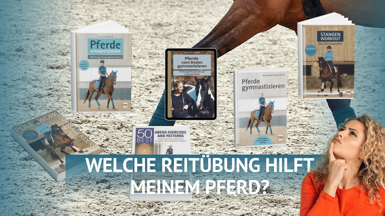 Welche Reit&uuml;bung hilft deinem Pferd?
