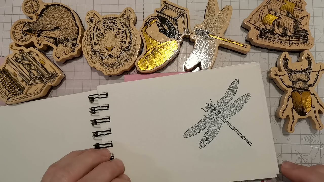 Neue Gummistempel von Action im Test.