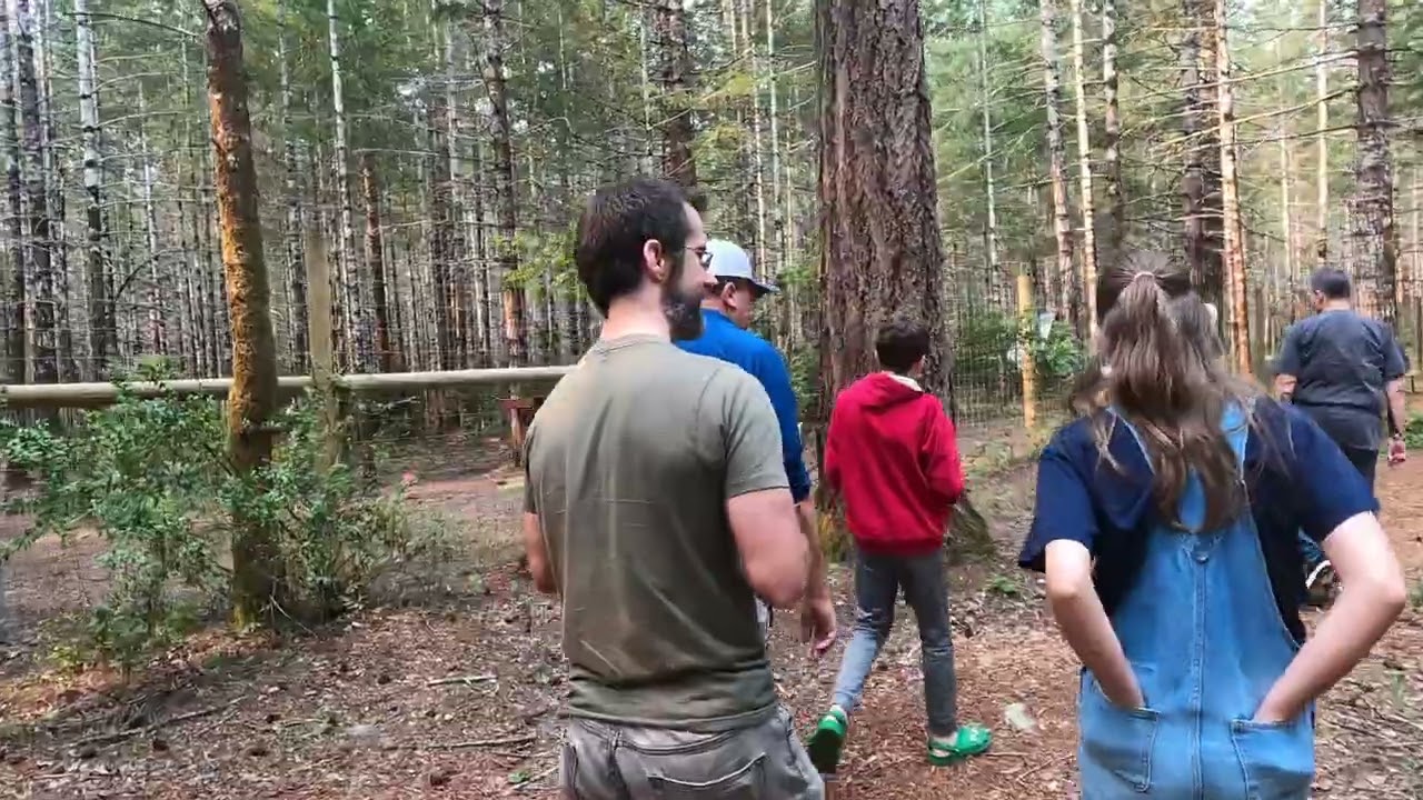 ROAM Wolfdog Sanctuary, WA 4K (9/2024)