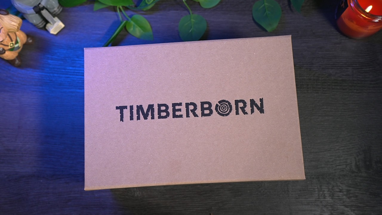 Timberborn Devs Sent Me A Package For The 1.0 Release!!