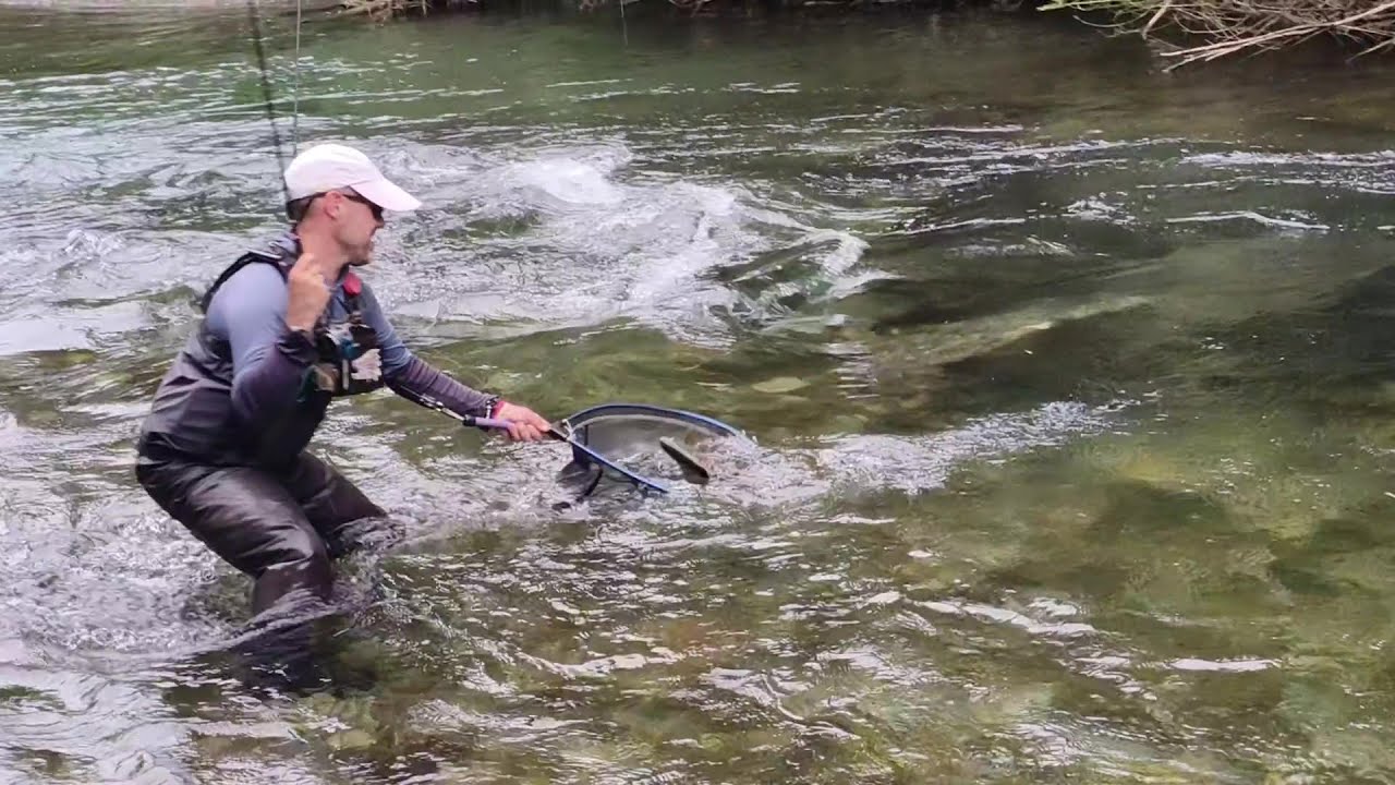 XII Masters de pesca a mosca Valls d´Aneu