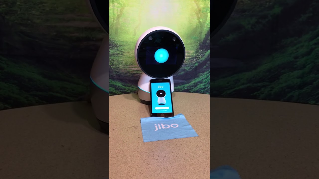 Mini-me Jibo is taken out 😂
