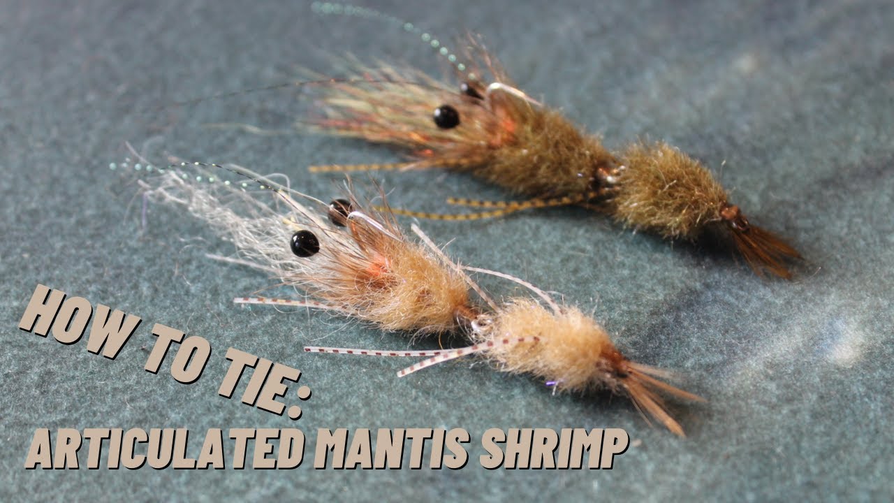 Fly Tying Tutorial - Articulated Mantis Shrimp