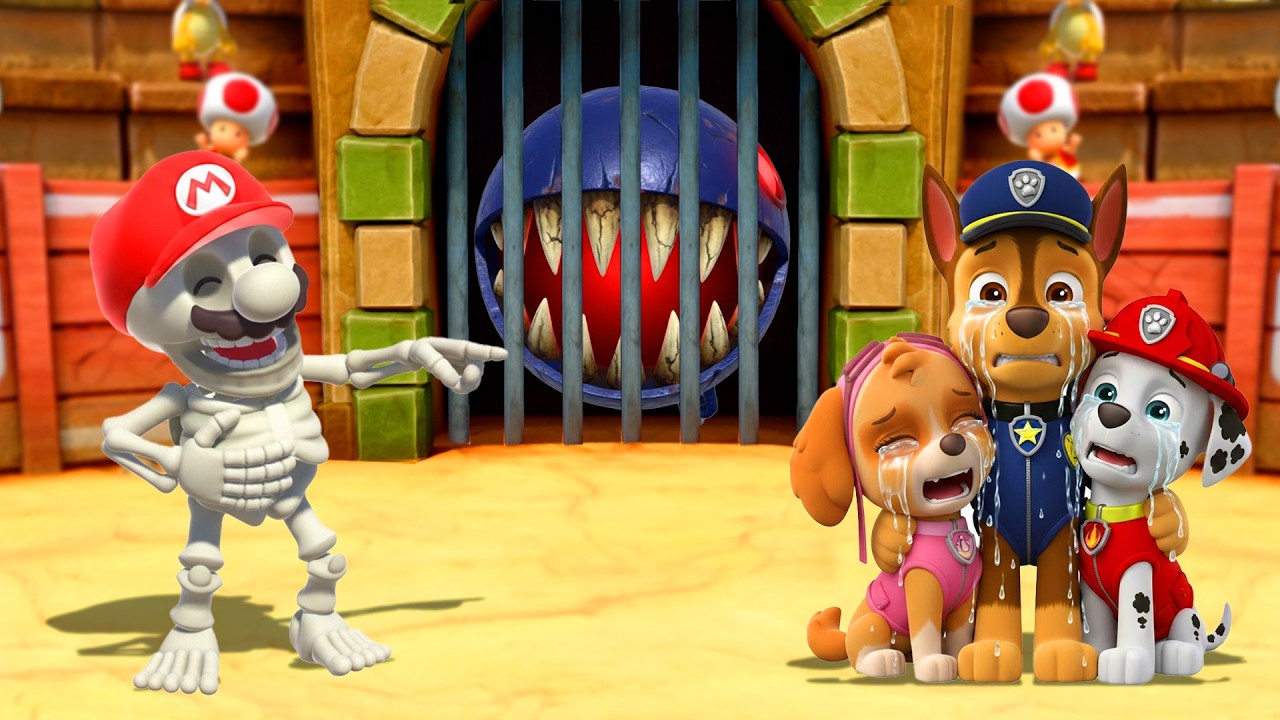 Mario Party Series Epic 1vs3 Battle! Skeleton Mario Vs Chase, Marshall & Skye (Master Difficulty)