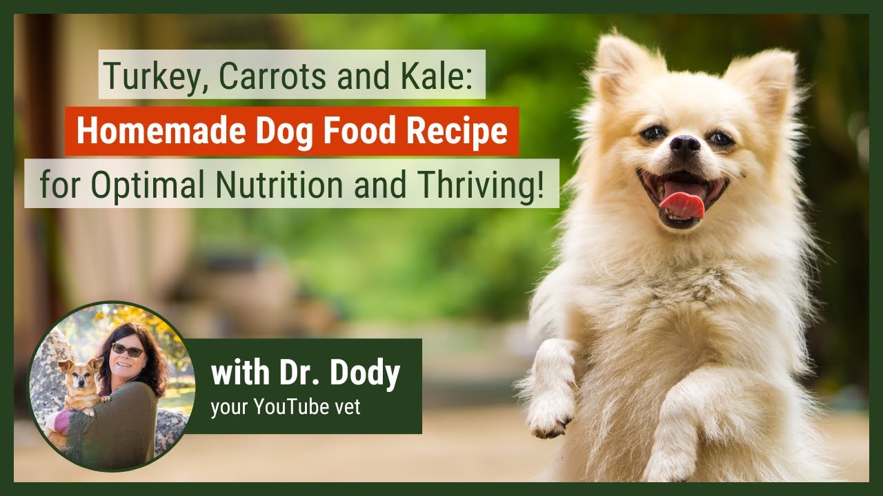 Reduce the Risk of Cancer in Your Pet with the Perfect Diet! Homemade Dog Food Recipe | VET APPROVED