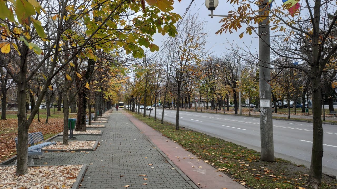 Camera Supraveghere pe Bulevardul Independenţei (Castanilor), Ploiesti, Romania - WEBCAM LIVE