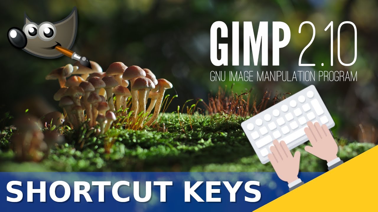 Corso Gimp 2.10 ep. 5: Tasti rapidi [Tutorial Ita]