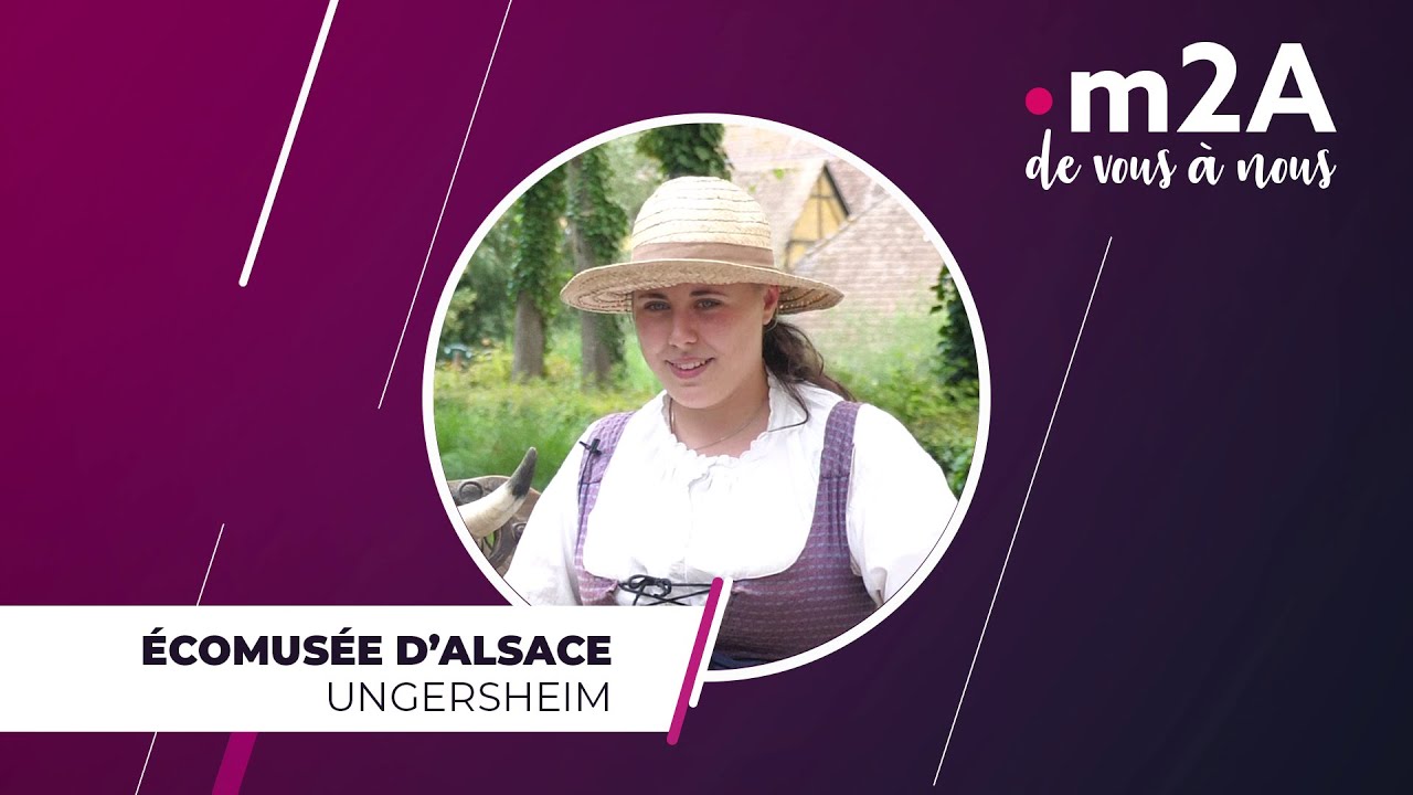 &Eacute;comus&eacute;e d'Alsace &agrave; Ungersheim | m2A de vous &agrave; nous