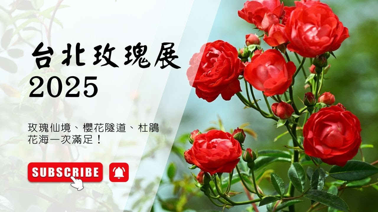 2025台北花季懶人包！玫瑰展、吉野櫻、杜鵑花一次看個夠！ #網美景點 #台北花季 #台北景點
