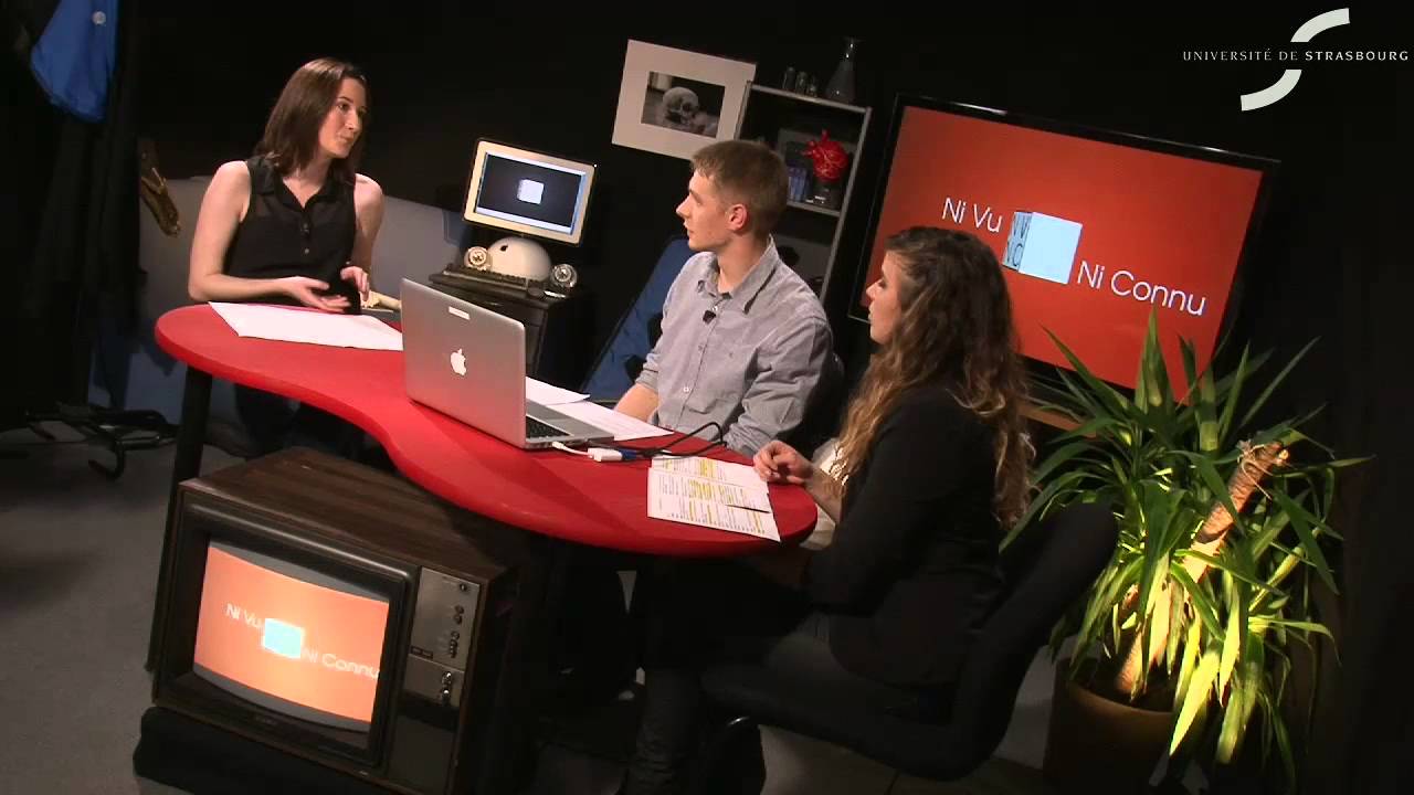 Les maladies à transmission vectorielle