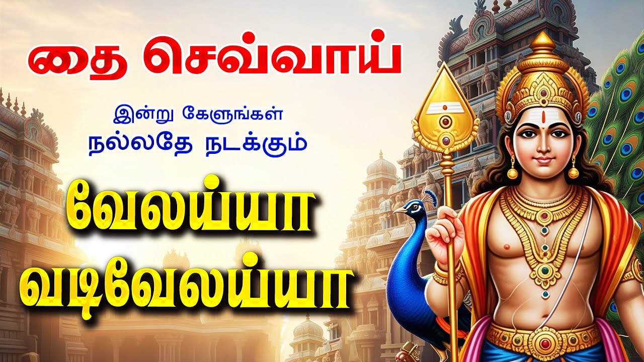 🔴LIVE SONGS | தை செவ்வாய்க்கிழமை அன்று கேட்க வேண்டிய வேலய்யா வடி வேலய்யா முருகன் பாடல் Murugan