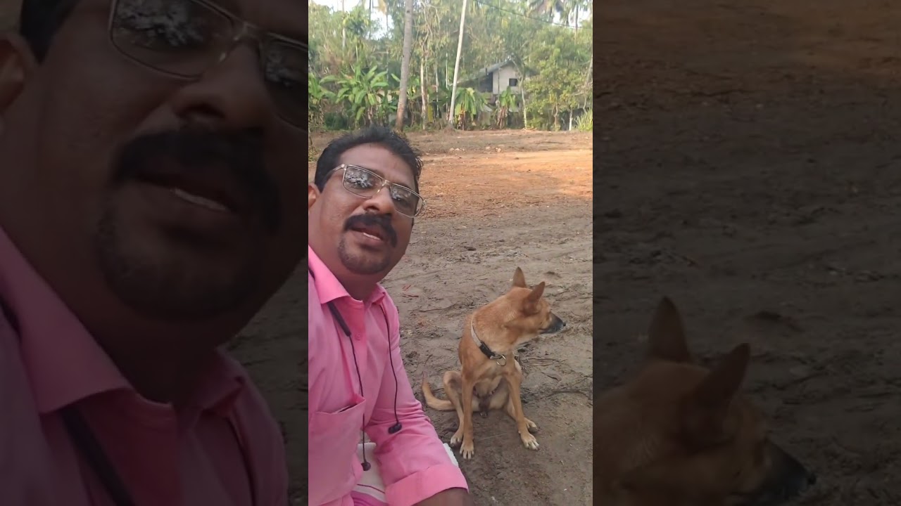 പങ്കി മോളുമായിട്ട് നടക്കാൻ ഇറങ്ങിയതാണ് അവൾ ചെയ്യുന്നത് കണ്ടോ 