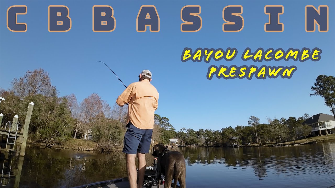 Bayou Lacombe pre spawn.  Things are HEATING UP!