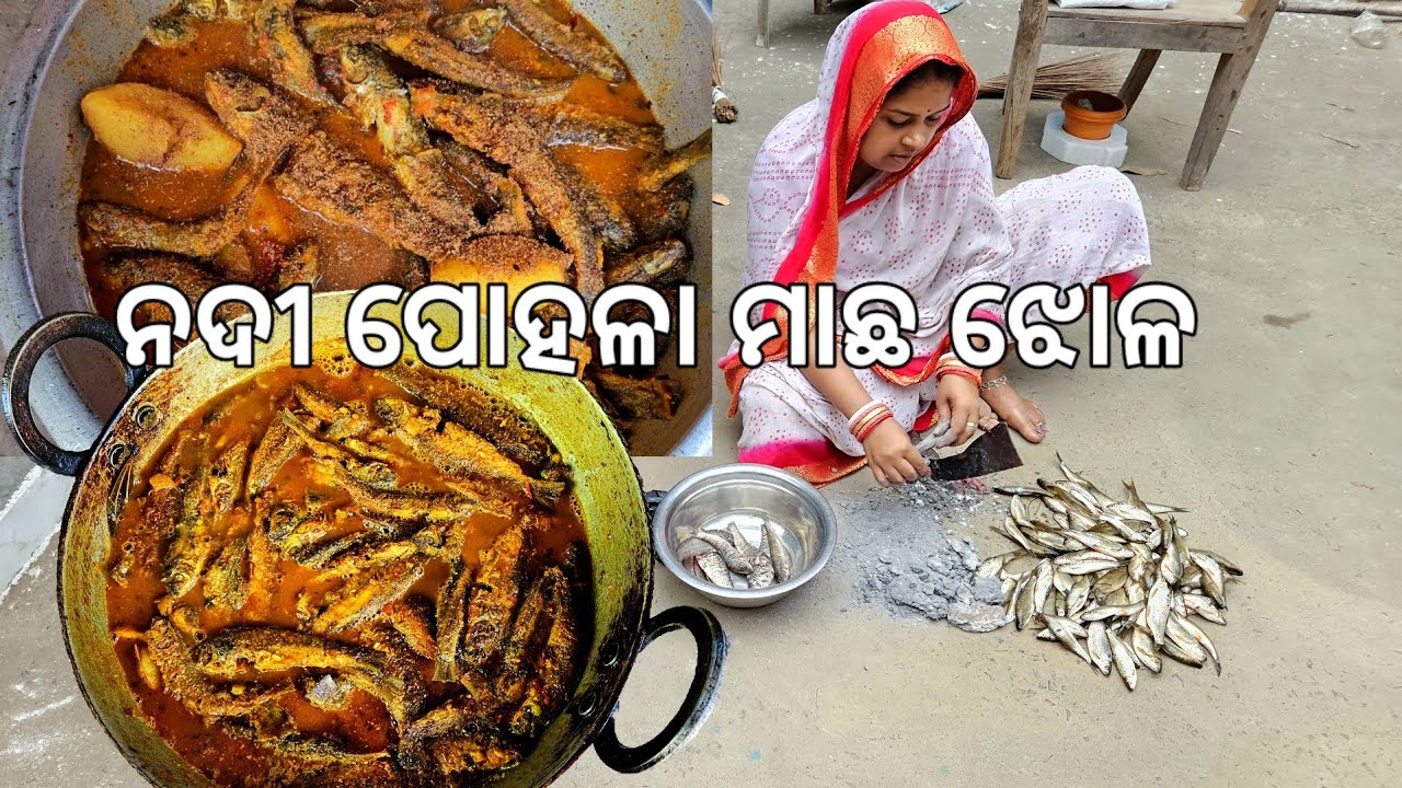 ଗାଁ ନଦୀ ପୋହଳା ମାଛ ଝୋଳ 😛 l Pohala Machha Jhola l Gouranga Nayak Odia Vlogs