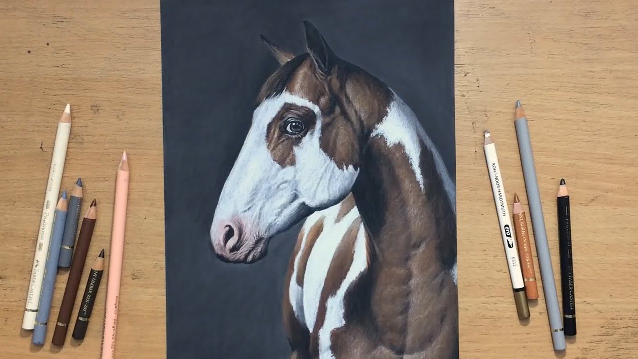 Рисунок лошади цветным карандашом