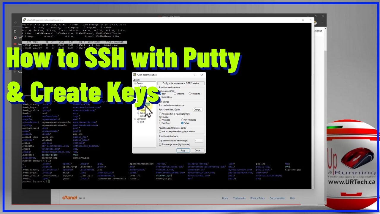 SSH-подключение к хостинговой компании, например InMotion, GoDaddy, Gator или BlueHost