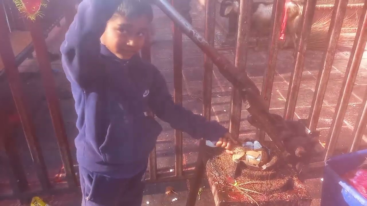 Manakaamana Prabhujiko Darshan & continuingjourney for Kathmandu Feb 2026