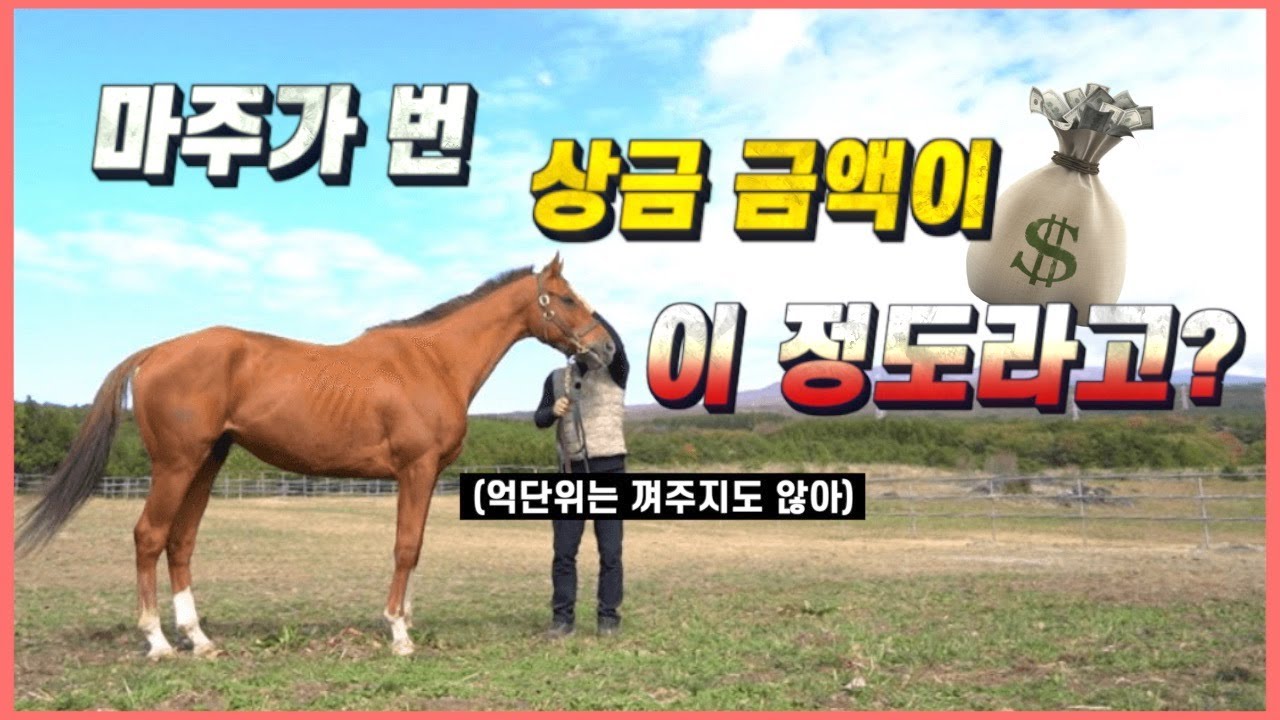 대한민국 마주 상금 순위 top10