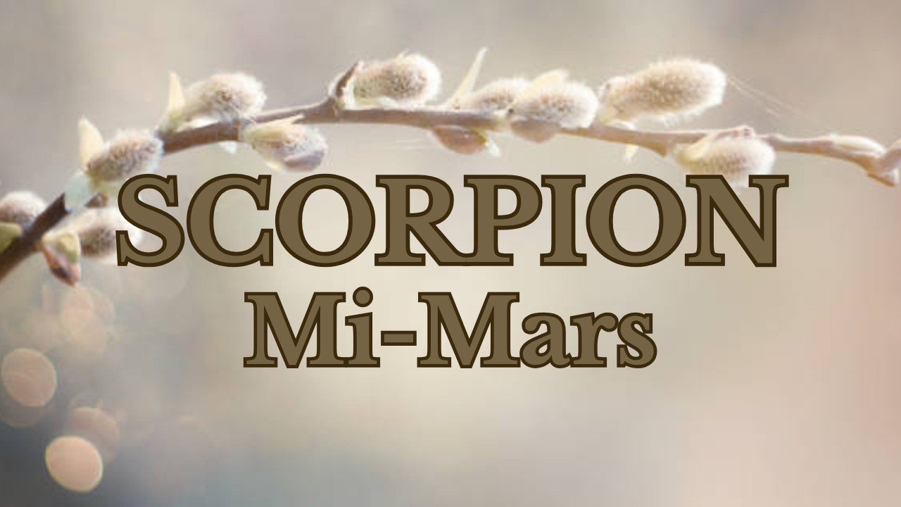 Scorpion Mi-Mars | Message Bienveillant d’un Défunt 
