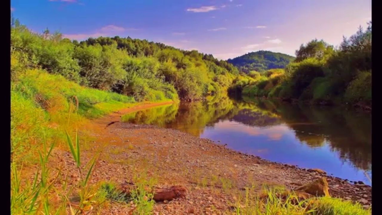 Leo Rojas - At night i think of You