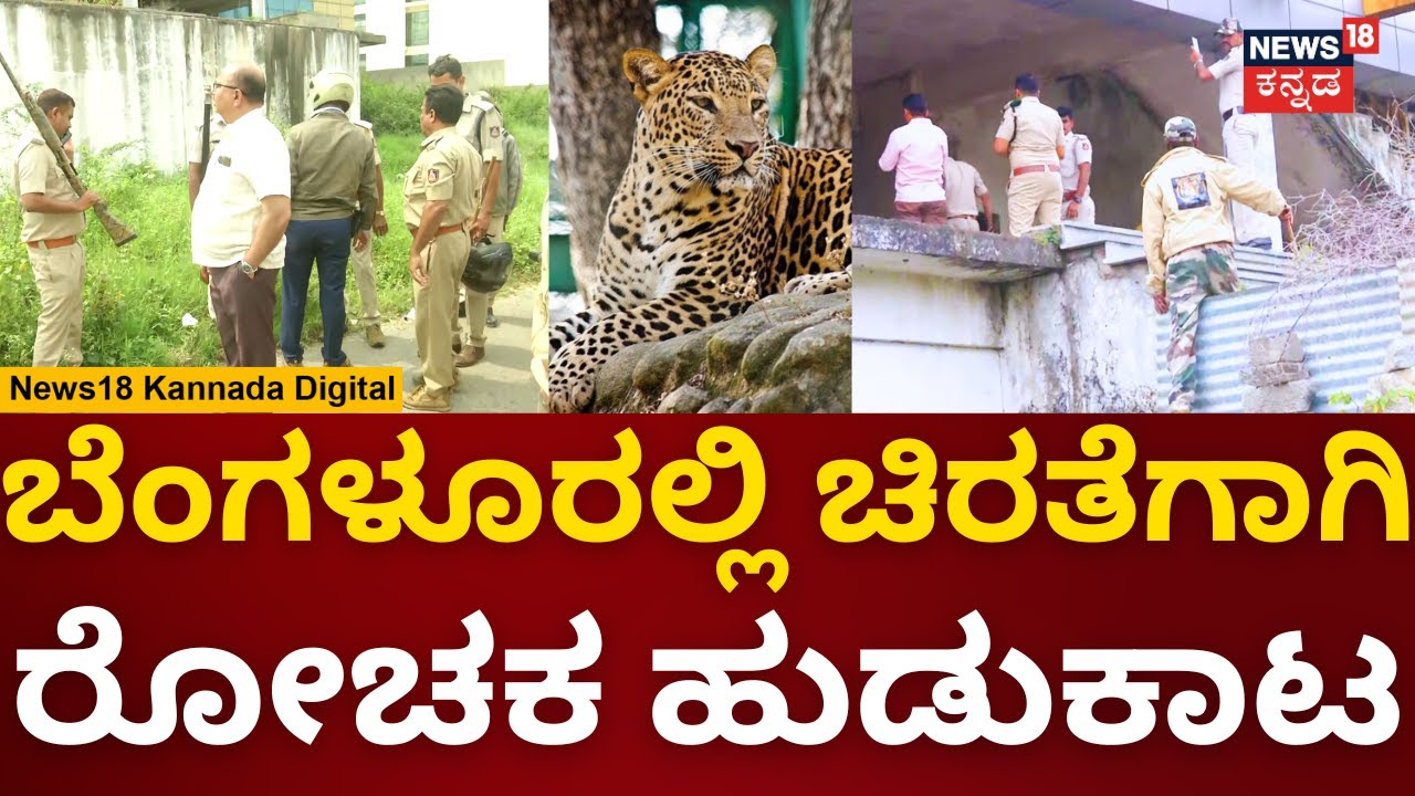 Leopard Spotted In Bengaluru | ಬೆಂಗಳೂರಲ್ಲಿ ಚಿರತೆಗಾಗಿ ರೋಚಕ ಹುಡುಕಾಟ | Forest Department | N18V