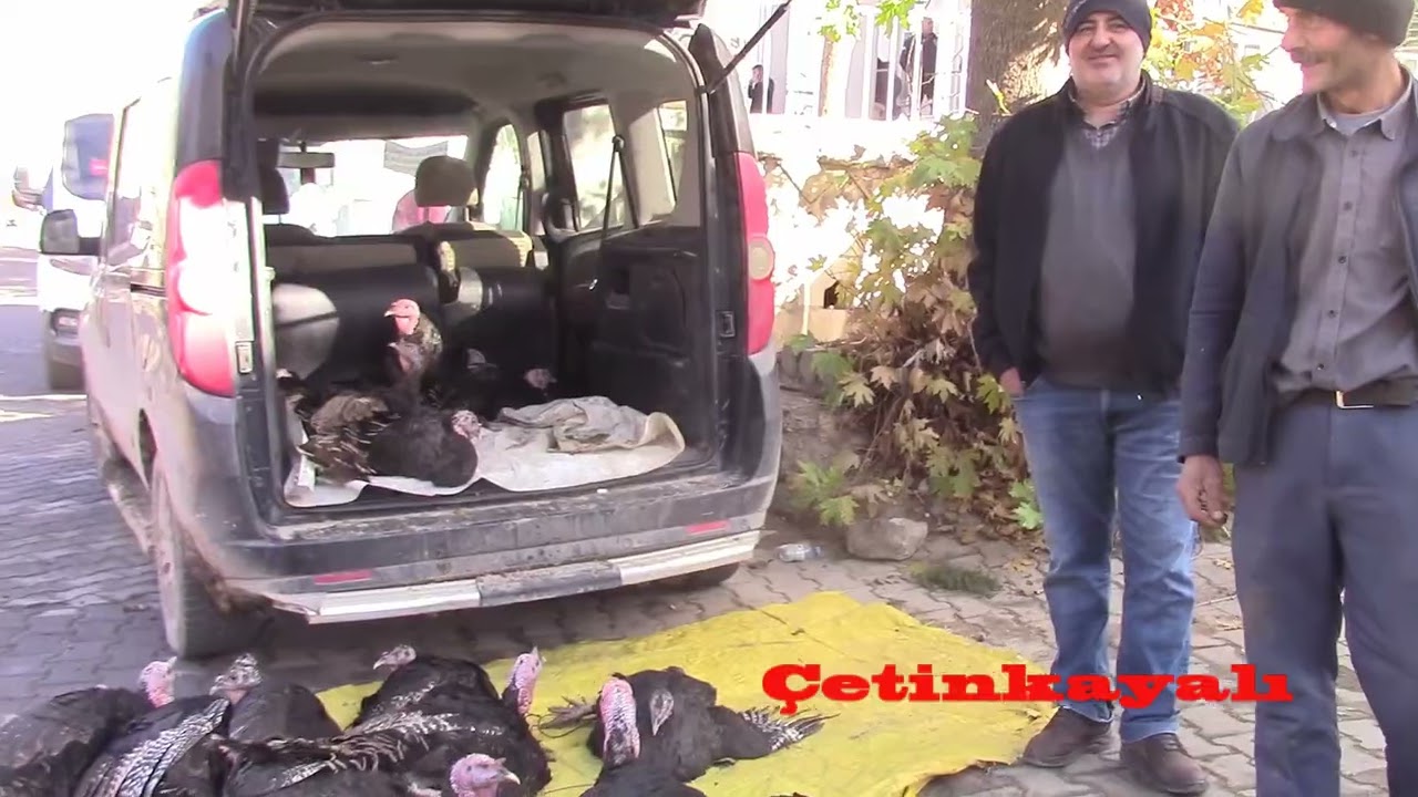 10 12 2025 DİVRİĞİ BİR GEZELİM DEDİK