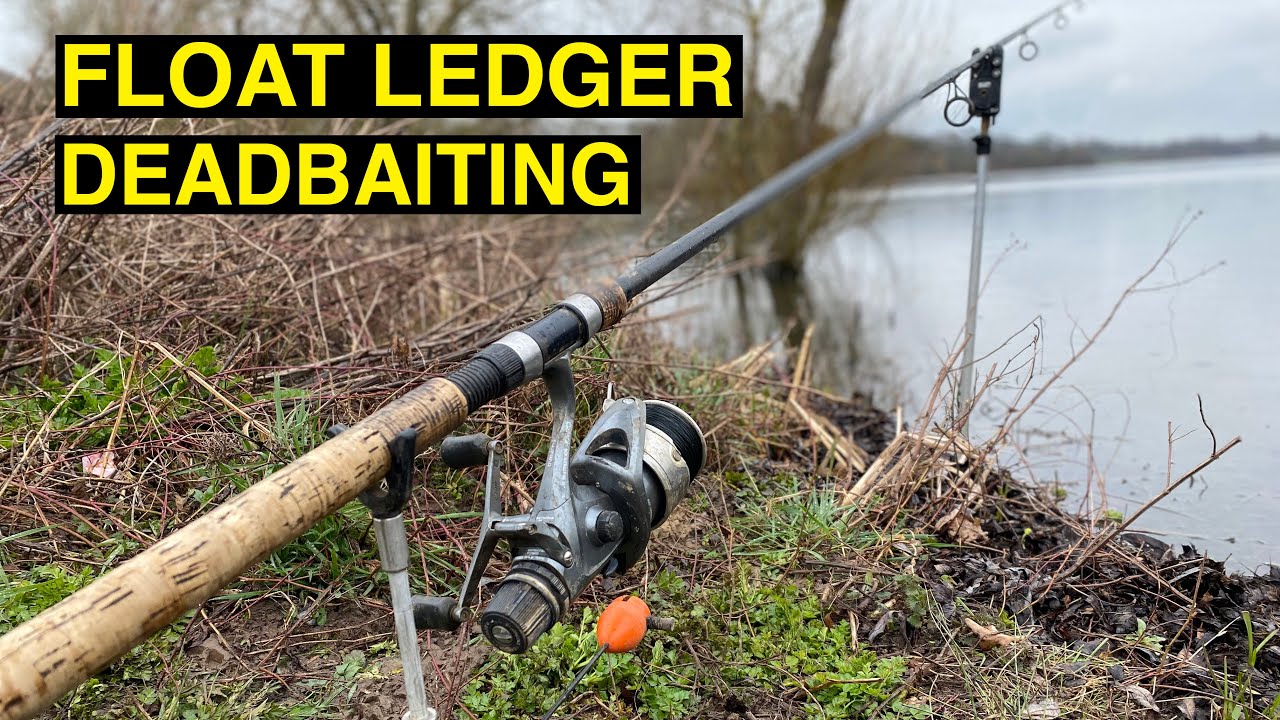Pike Float Ledger Dead Bait Fishing.. How why & when to use