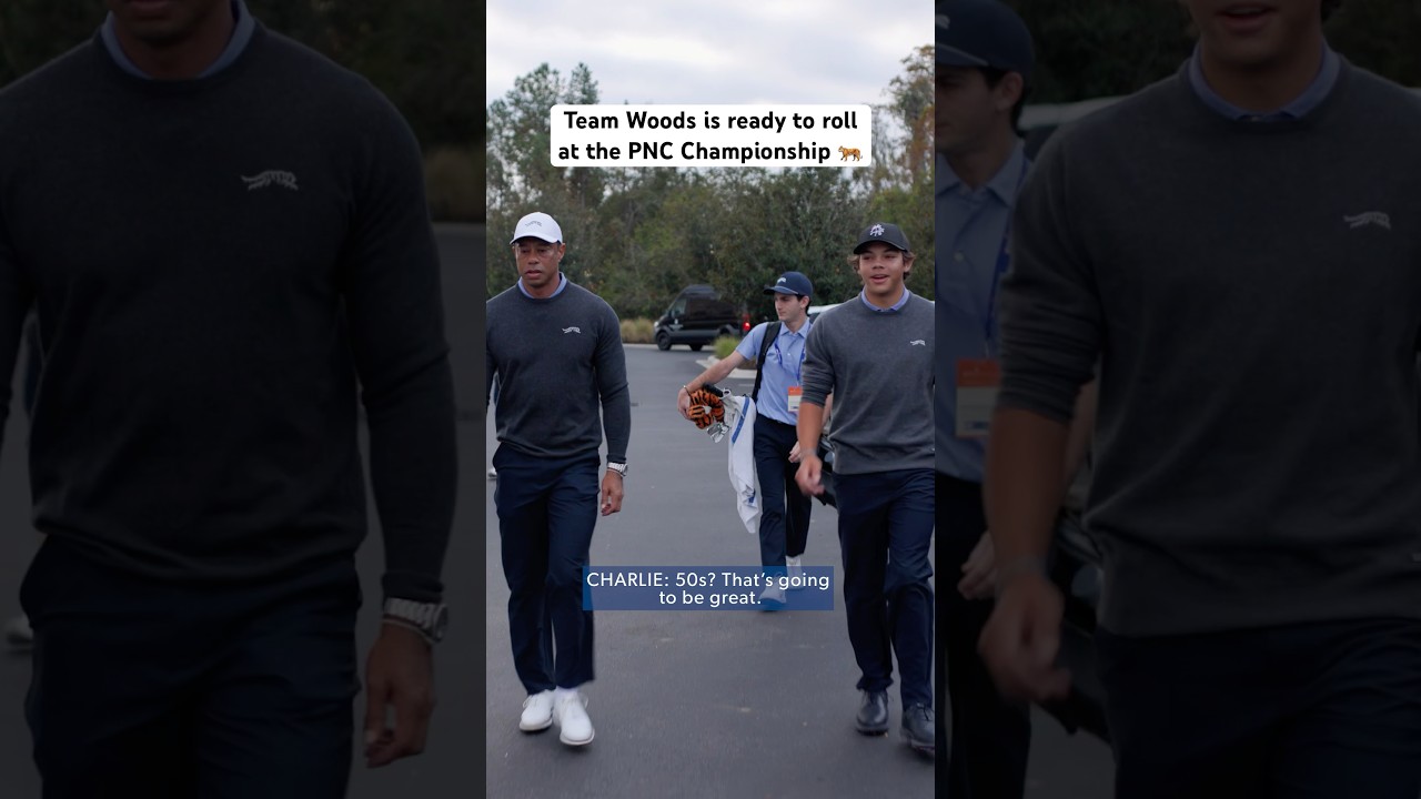 Tiger and Charlie have arrived!