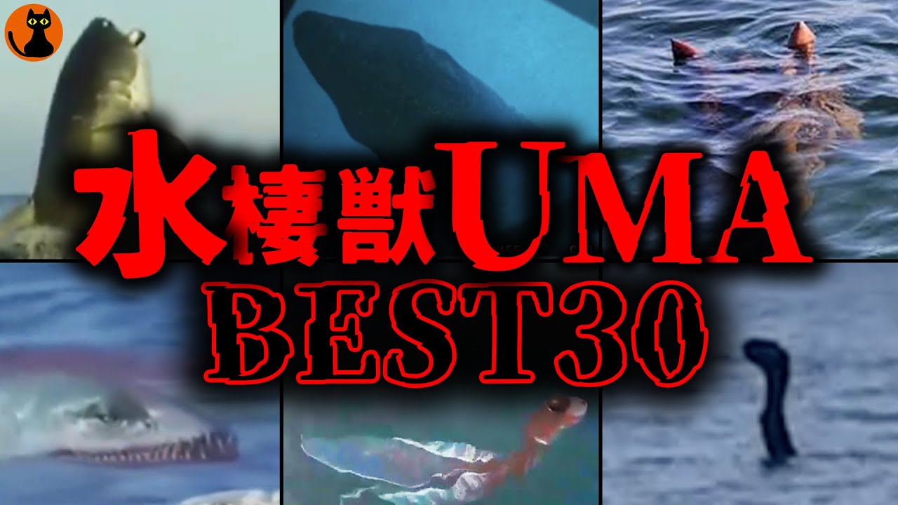【総集編46分】これはヤバイって...水棲UMA未確認生物映像BEST30選