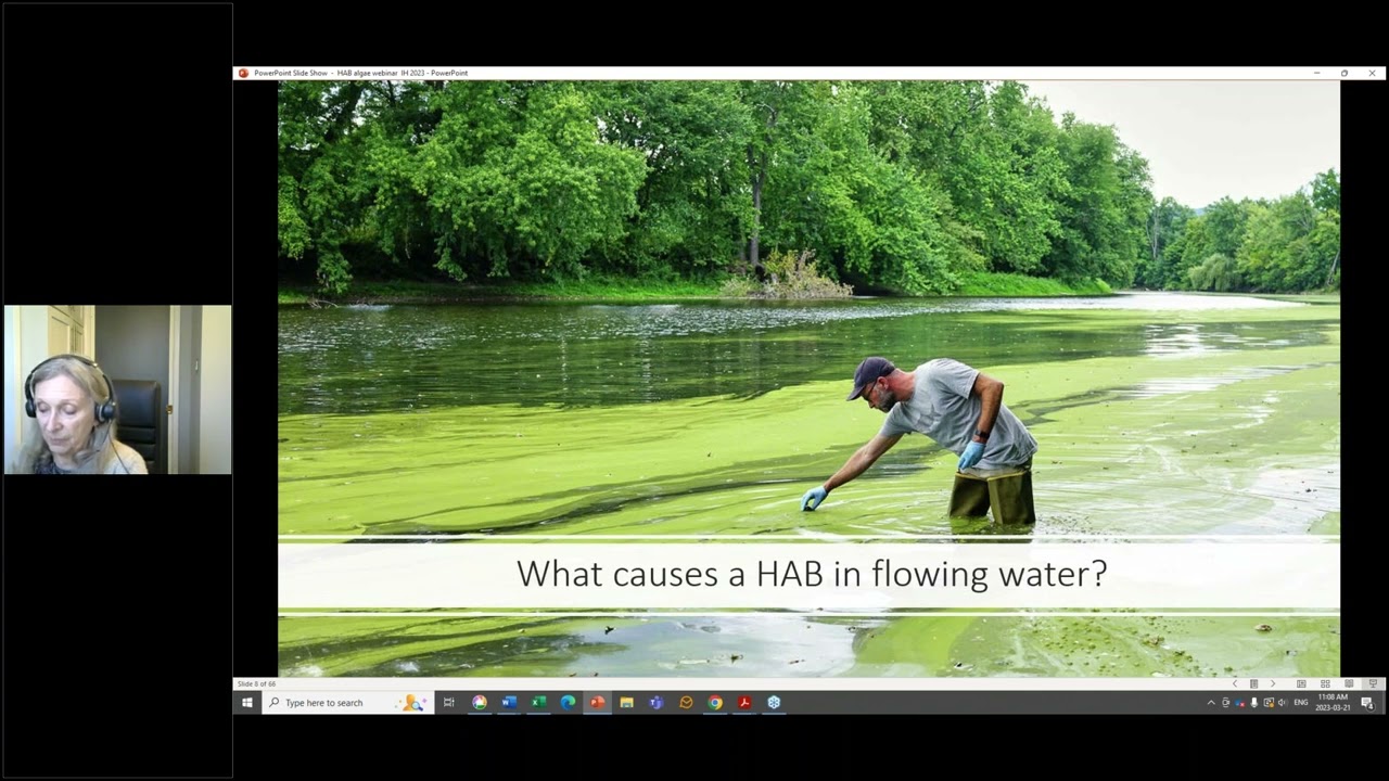 Harmful Algae Blooms– What’s to be done