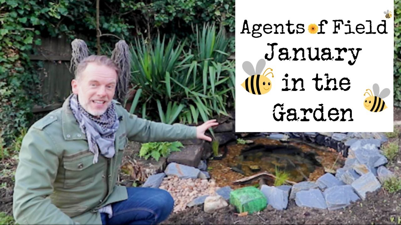 January in the Garden