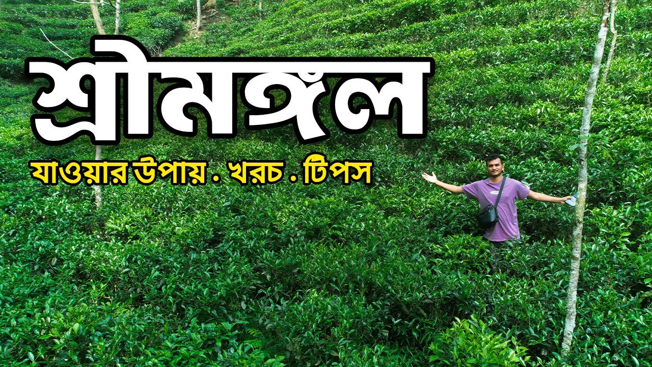 কম খরচে ২ দিনে শ্রীমঙ্গল ভ্রমণ ২০২৫ | মাধবপুর লেক | Lawachara rain forest | Sreemangal Tour