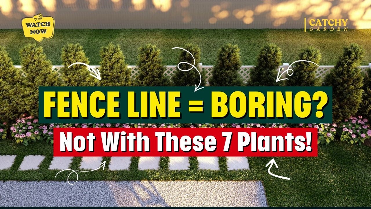 TOP 7 PLANTS for a BACKYARD FENCE LINE 🌿 (Your Neighbors Will Be JEALOUS!)
