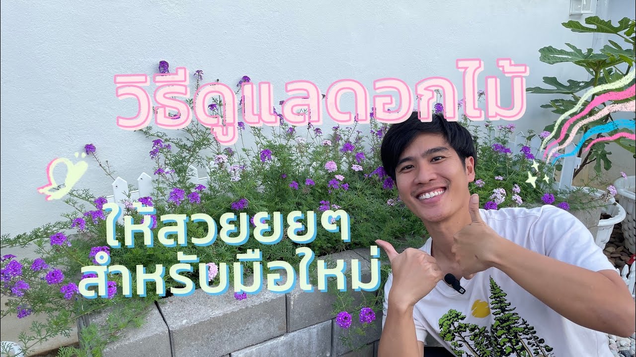 แนะนำวิธีปลูกดอกไม้ให้สวยๆ ฉบับมือใหม่อยากลองปลูก