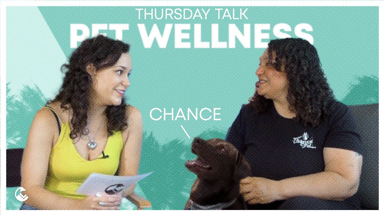 THURSDAY TALKS - Pets as Healers: Inspiring Journey to Mental Health | Talk Show