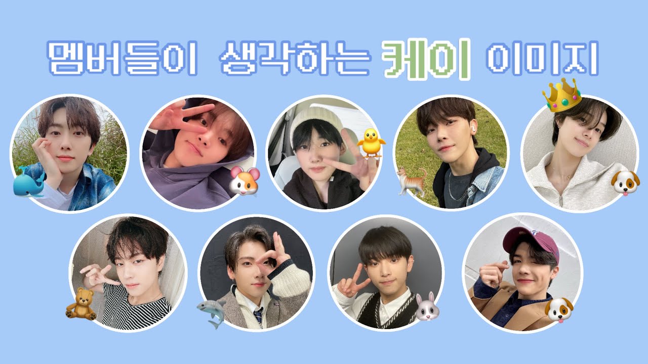 [앤팀] 멤버들이 생각하는 케이 이미지