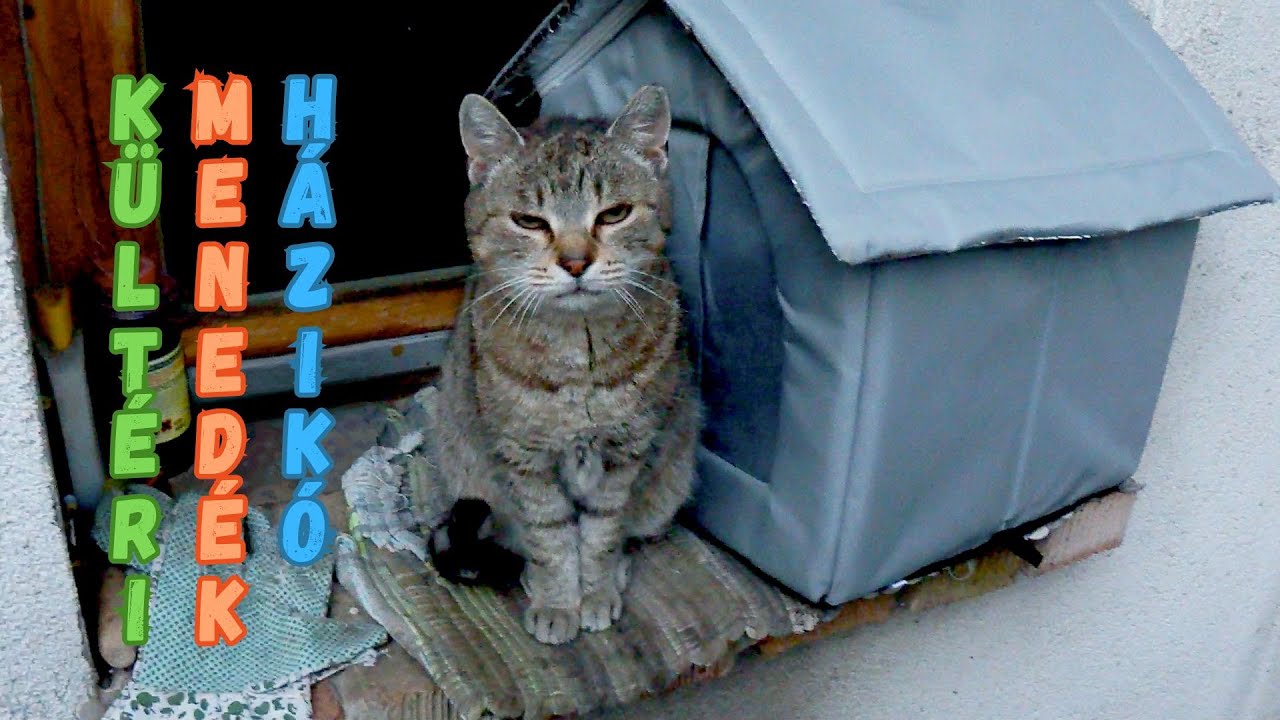 Kültéri menedék házikó macskáknak 🏠🐈