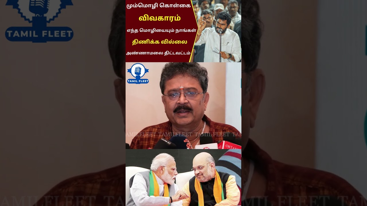 இந்தி திணிப்புக்கு எதிராக SV சேகர்.! SV Sekar Angry Press about Seeman Vs Vijayalakshimi |Annamalai