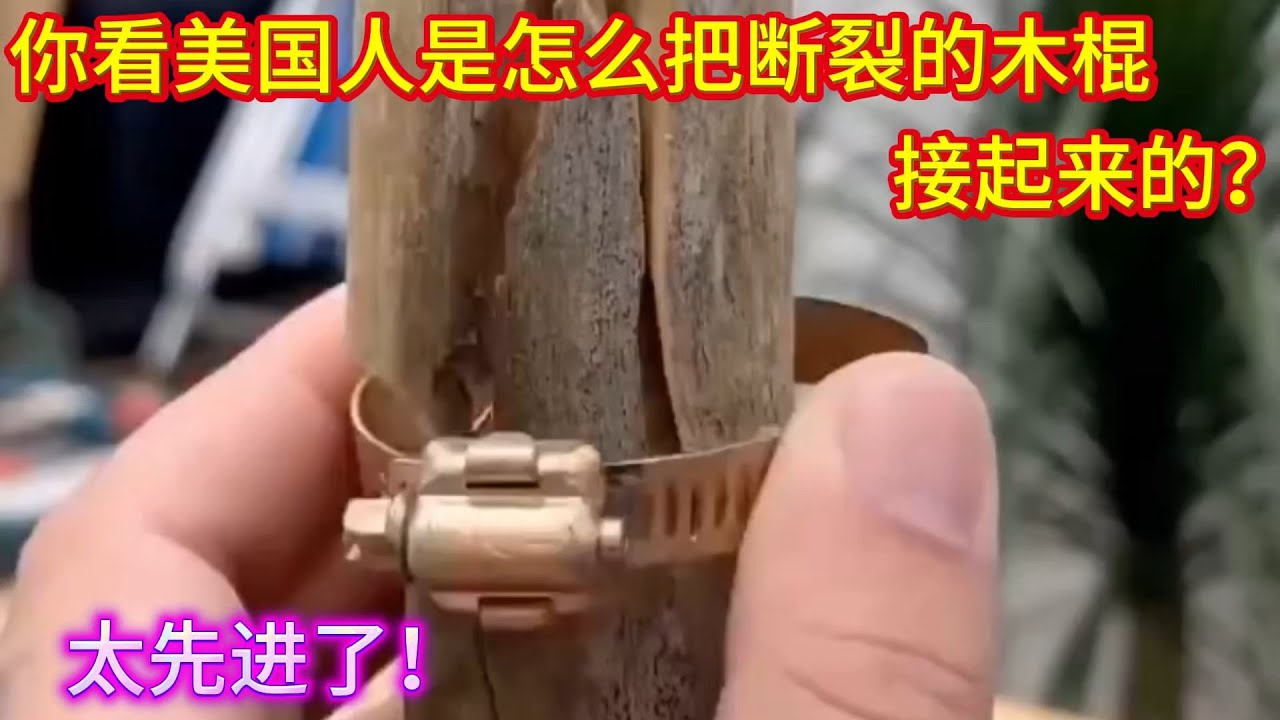 你看美國人是怎么把斷裂的木棍接起來的？不用釘子和卡子，真先進