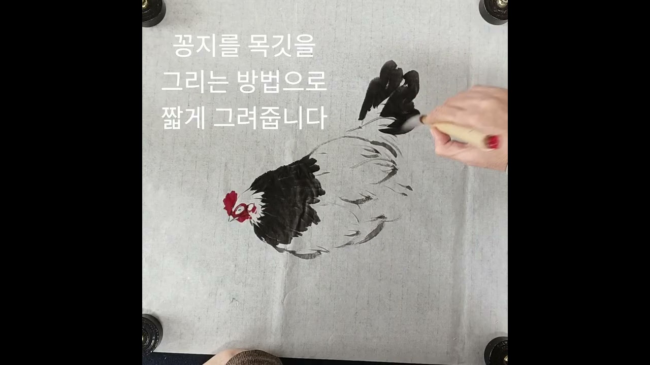 느린영상 닭그리기  네번째 #암탉그리기 #암탉그리는법 #하얀닭  #문인화 #수묵화