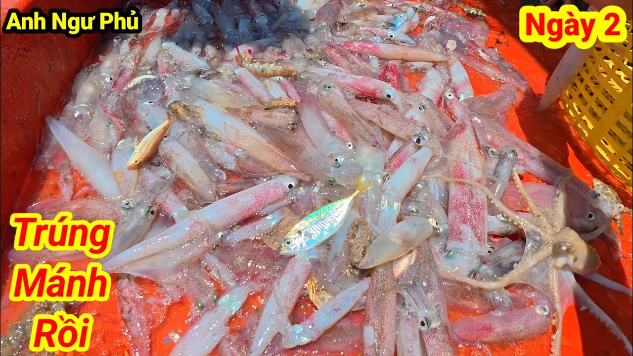 Fishermen Hit the Jackpot with Squid • Squid Fishing at Nam Du Island on Day 2 | Anh Ngư Phủ