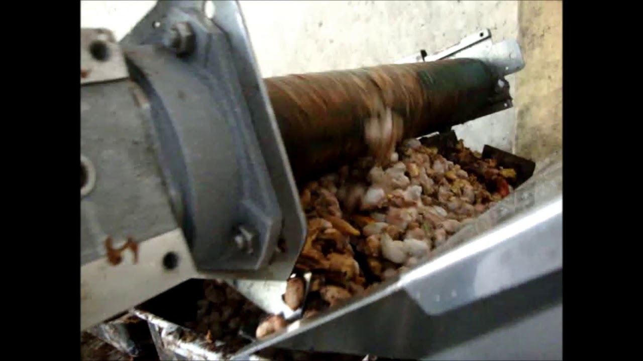 106 Proceso Cacao Pinhalense