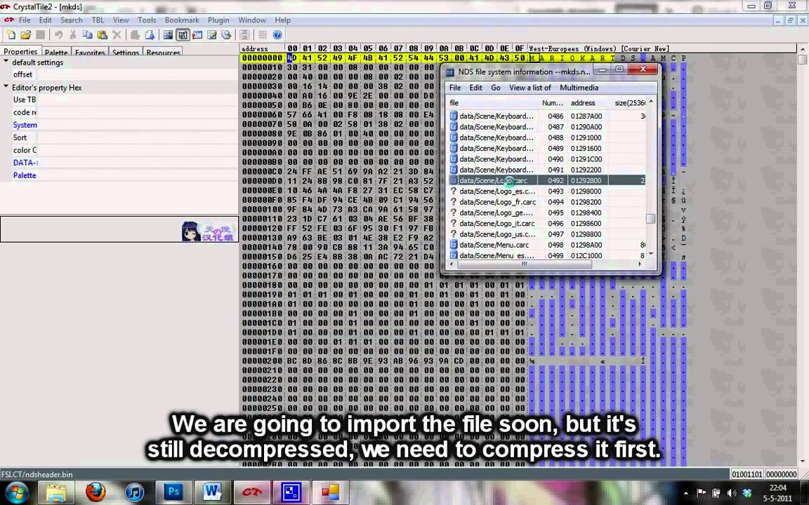 The Ultimate Nintendo DS ROM Hacking Guide - Example 1
