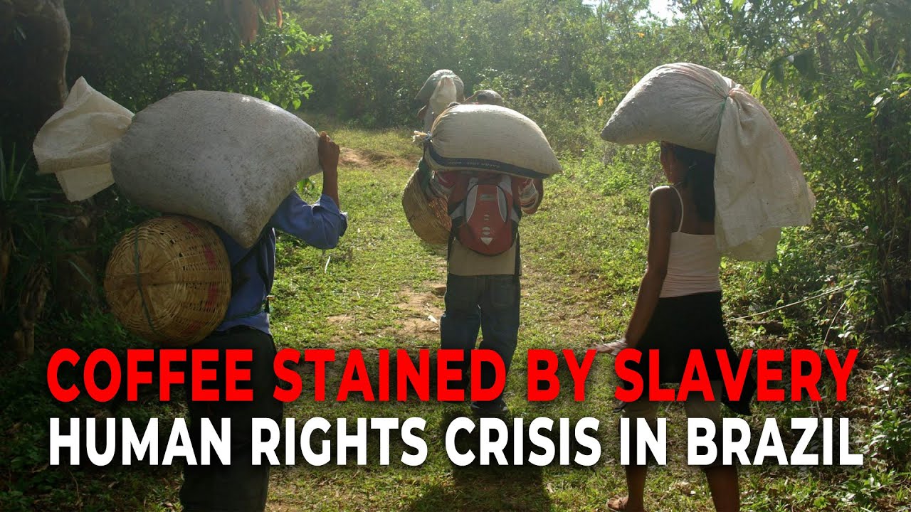 The Dark Side of Brazil&rsquo;s Coffee & Beef Exports | Human Rights Report 2025
